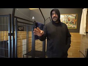 Our Dog Kennel Business, Tour and How Much Money it Makes our Homestead