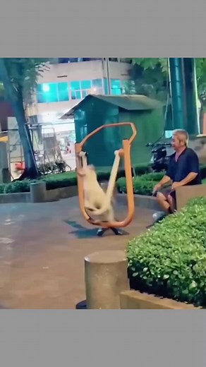 This Dog Has the Best Owner Ever #humanity #Respect #emotional #motherslove #doglove | 𝐅𝐚𝐜𝐭 𝐁𝐨𝐲 𝐒𝐚𝐥𝐦𝐚𝐧