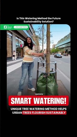 Unique Tree Watering Method Helps Urban Trees Flourish Sustainably