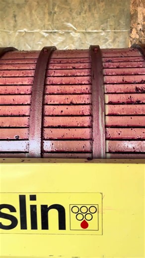 Satisfying Grape Pressing in a Vaslin Machine! 🤤🍇🚀