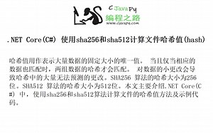 .NET Core(C#) 使用sha256和sha512计算文件哈希值(hash)