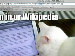 Photobucket Tutorial: Adding Web URLs