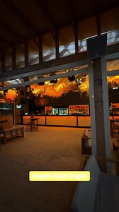 17K views · 299 reactions | ZooM Beach on Reels | Facebook