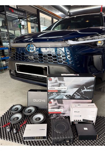 Explore the Best from Morel, Awave, and Flux