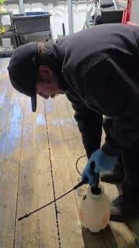 Applying wood sealer to the trailer deck