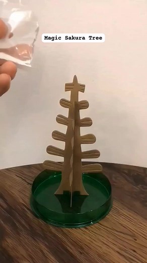 30K views · 70 reactions | Magic growing tree.  #WowMagic #sakura #trees | Aesthetica | Facebook