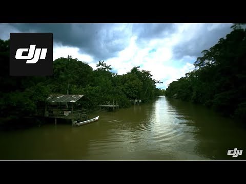DJI-The life of Amazon Rain Forest