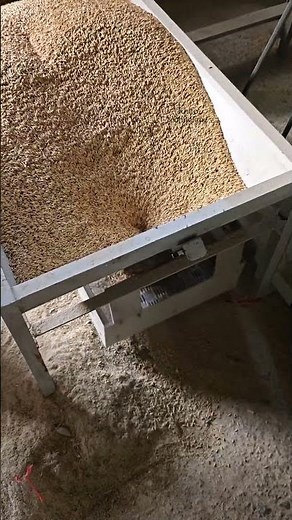 The process of milling rice into rice