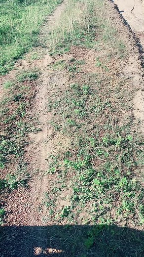 Exploring Rural Machinery on a Dusty Path