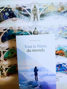 #roman #deuxiemeroman #litterature #antarctique #julesverne | Alizée Gau