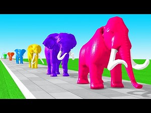 Paint Animals Mammoths | Elephants Size Comparison Fountain Crossing Animal Transformation Cartoon
