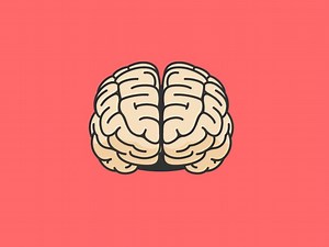 Parietal Lobe Anatomy & Pictures | Body Maps