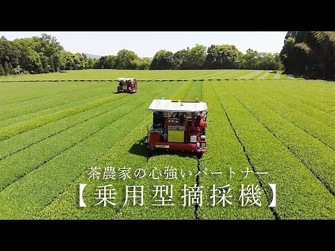 茶農家の心強いパートナー【乗用型摘採(てきさい)機】
