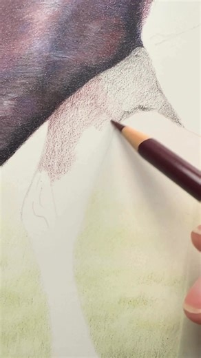 Wait for it 🐴…….Sharing with clients permission 🧡 | Bonny Snowdon Academy