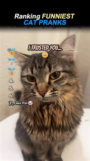 Ranking FUNNIEST CAT PRANKS!! 😹👻