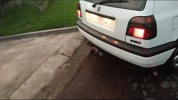 raw sound #mk3golf #vr6crewsa