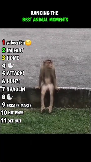 CHILL FAM |SUBSCRIBE FOR MORE|#funny #viral