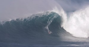 7.4K views · 225 reactions | (Continued...) Regardless of how big the...