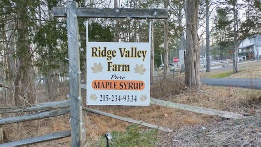Ridge Valley Farm in Sumneytown transforms maple sugaring hobby into thriving business
