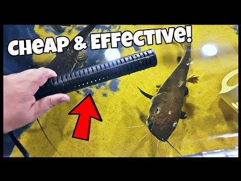 Aquarium Heater: BEST Fish Tank Heater For Your Money!