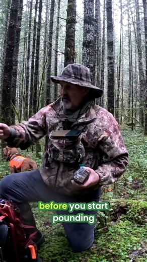 Protect Your Head: Tree Climbing Safety Essentials! #shorts