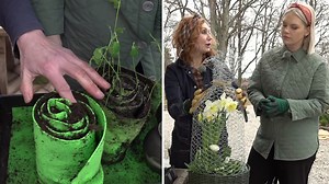 Smarta odlingen som sparar massor med plats