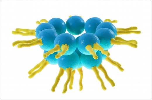 What is a Protocell?