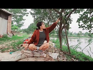 Single Mom #10 |Beautiful single mom picks and eat fruits from tree