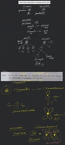How to do numericals on meiosis and it's trick... | Filo