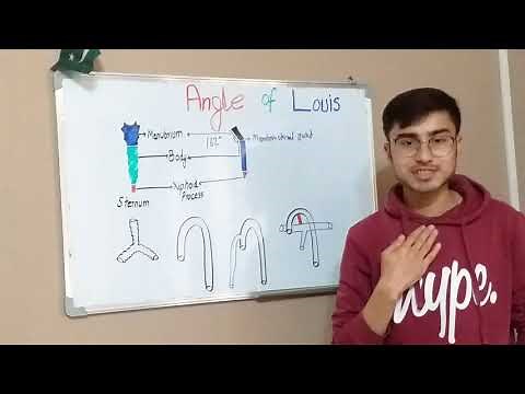 Angle of Louis | Sternal angle || part 1