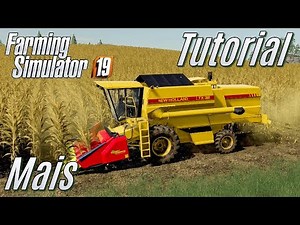 LS19: Tutorial: Corn (grain corn) - for beginners
