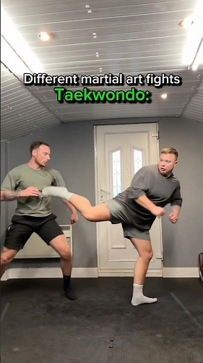 Differant martial art fights