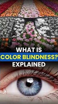 Color Blindness Explained | Causes, Types & Testing 👀🌈