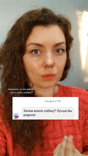 😂#BullTerrierYatagan #бультерьерЯтаган#bullterrier #бультерьер