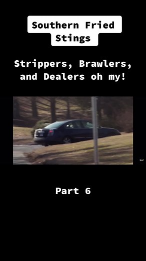 Southern Fried Stings part 6! #foryou #foryoupage #fyp #fypシ #viral #viralvideo #trending #trend #tv #tvshow #nextleveldish
