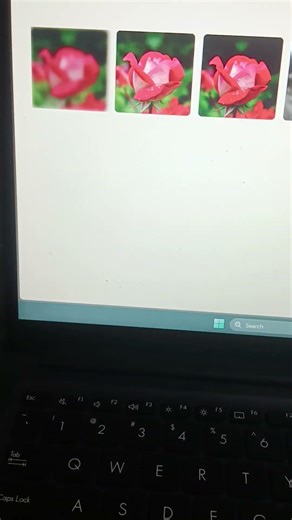 Tailwind CSS Image Filter Effects