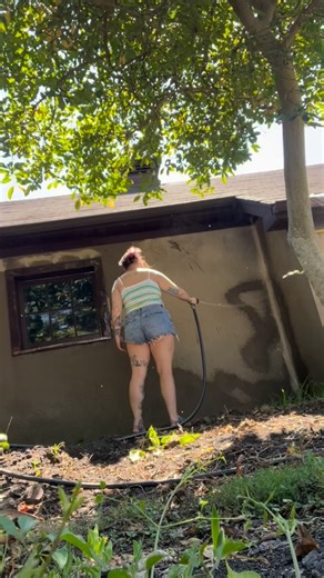 Recap of the completed project, with the dwarfs and the mural! Its going to all come together when we get the flowers blooming in the spring. I loved this project and so grateful for the support of my friends, family and clients🫶🏻🫶🏻 more to come #murals #muralist #femme #snowwhite #disney #art #spraypaint #kentucky #Indiana #queerartist #paint #femaleartist #artsy #flowers #animals #time | Beige Price