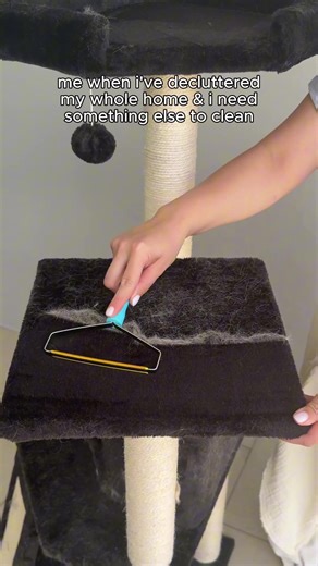 Discovering Hidden Dog Hair: A Cleaning Hack