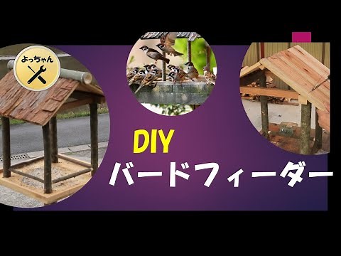 DIY Bird Feeder