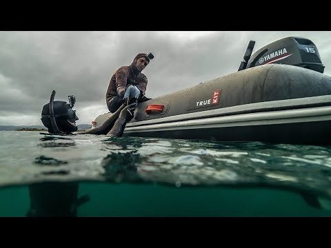 The Ultimate Spear Fishing & Diving Inflatable Boat