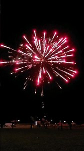 Celebrity Mugshots 500g 12 shot cake Alien Fireworks 2023 demo