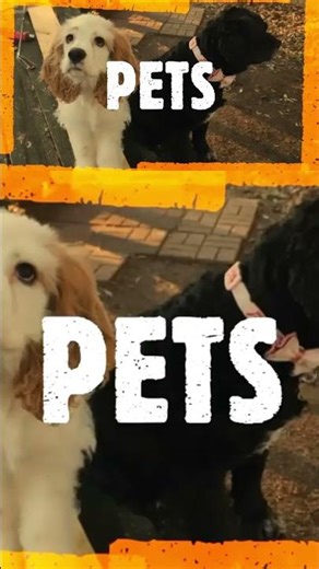 30 second intro #new #lifeisbutadream #southcarolina