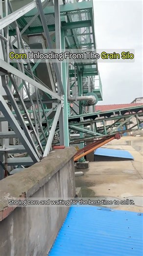 Corn unloading at the grain silo 2.