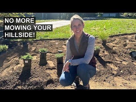 How to Landscape Your Hillside for Low Maintenance