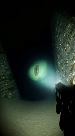 Impactante hallazgo en el abismo: Buzo ve un ojo gigante bajo el mar
