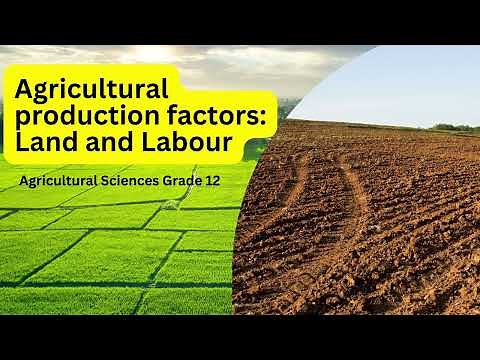🌾 **Agricultural Sciences Grade 12: Agricultural Production Factors – Land and Labour** 👨🏽‍🌾🌱