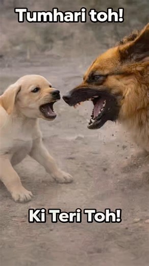 Chhota Puppy 🐶 vs Julie German Shepherd 🐕 | Ghar Me Ho Gayi Badi Ladai 😳🔥