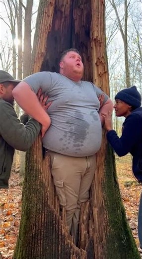 Stuck in a Tree A Hilarious Rescue Attempt