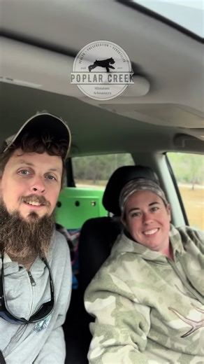 OFA Day: Eye Health for Miniature Schnauzers