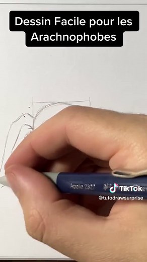 Dessin Facile : Comment Dessiner une Araignée pour les Arachnophobes